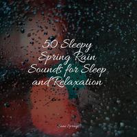 50 Sleepy Spring Rain Sounds for Sleep and Relaxation