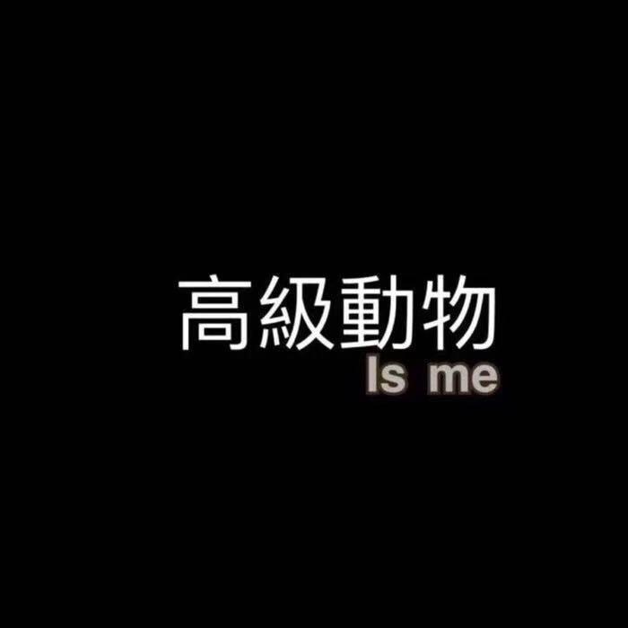 高级动物23New封面