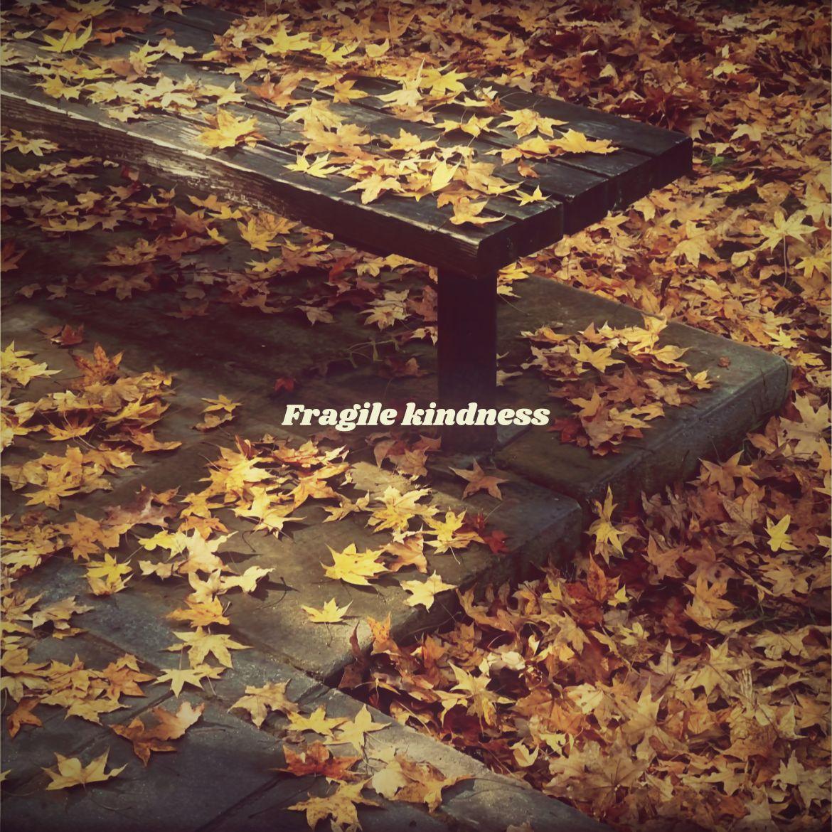 Fragile kindness（新版）