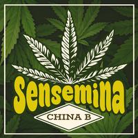 Sensemina (feat. Jah SoulJah)