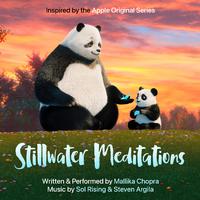 Stillwater Meditations