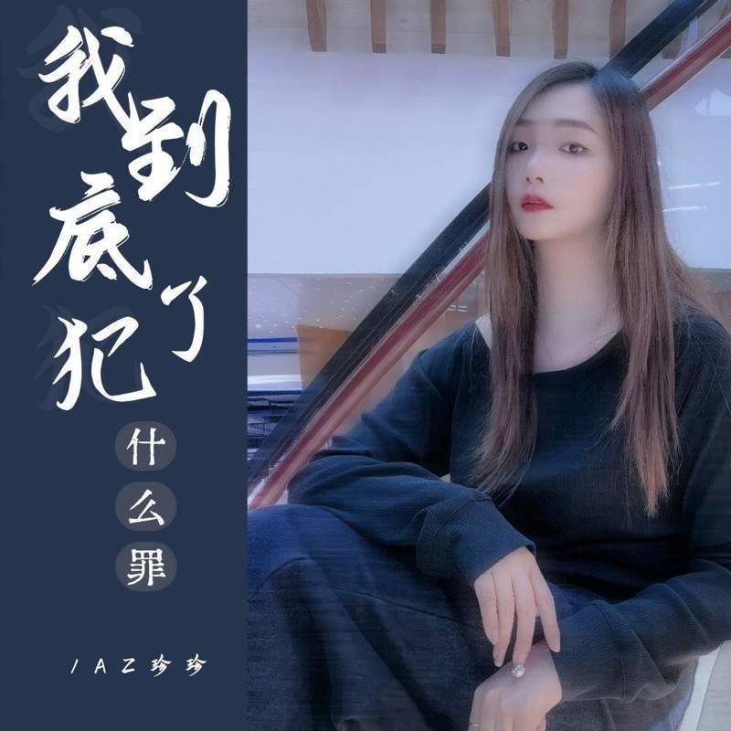我到底犯了什么罪 (DJ加快版) - AZ珍珍封面