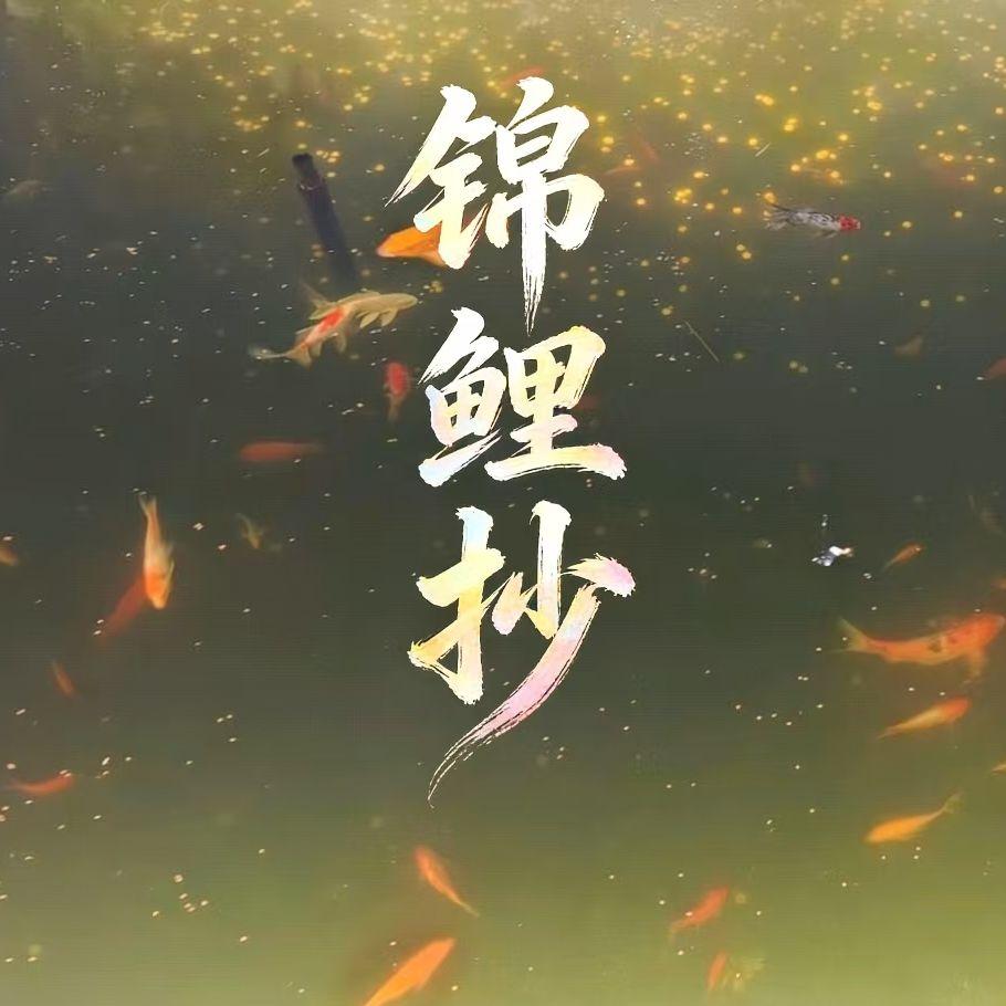 锦鲤抄封面