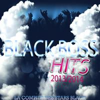 Black Boss Hits 2013/2014 (La compile des stars black)