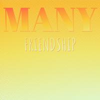 Many Friendship