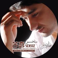 Sensiz 苦恋 2010