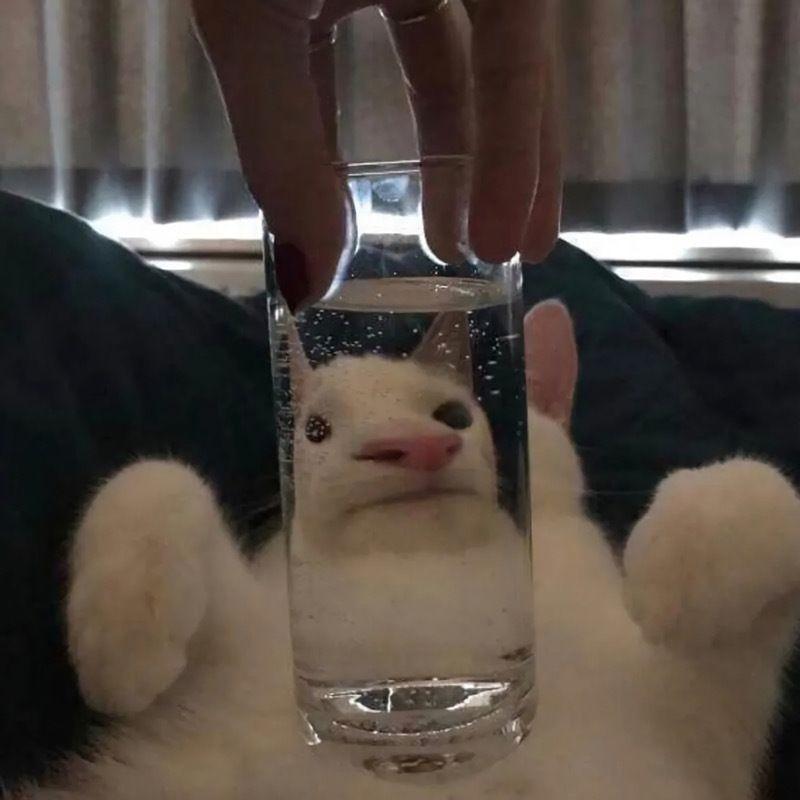 溯x大雾x坠落星空