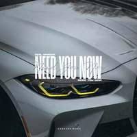 Need You Now