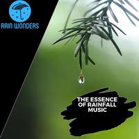 The Essence of Rainfall Music