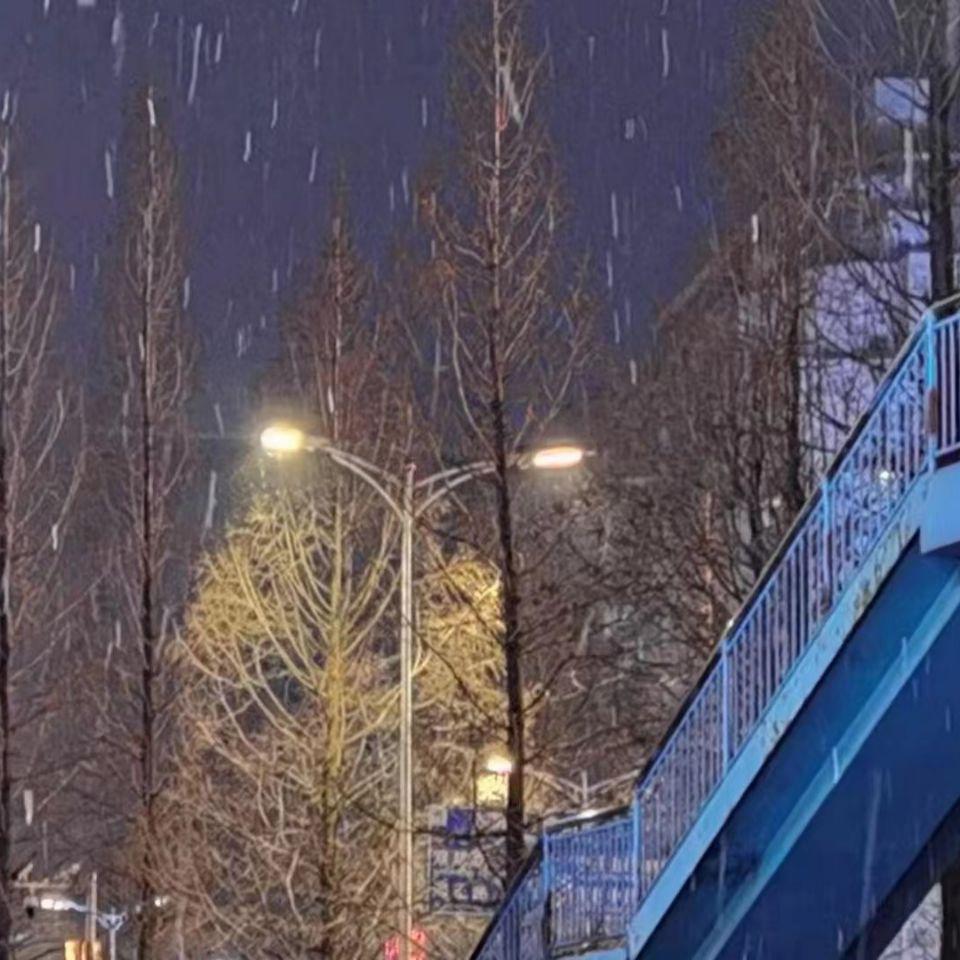 七夕_20220803_102056