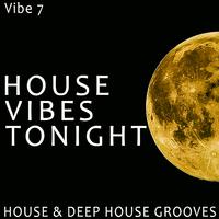 House Vibes Tonight - Vibe.7