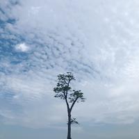 yƶy资料,yƶy最新歌曲,yƶyMV视频,yƶy音乐专辑,yƶy好听的歌