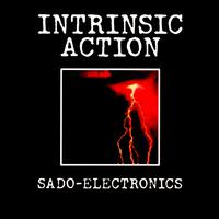 Sado-Electronics