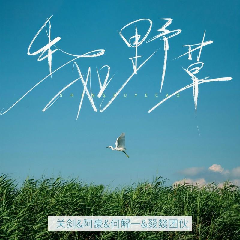 生如野草 (DJ默涵版)