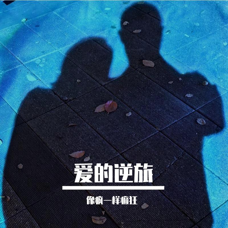 他不听话封面