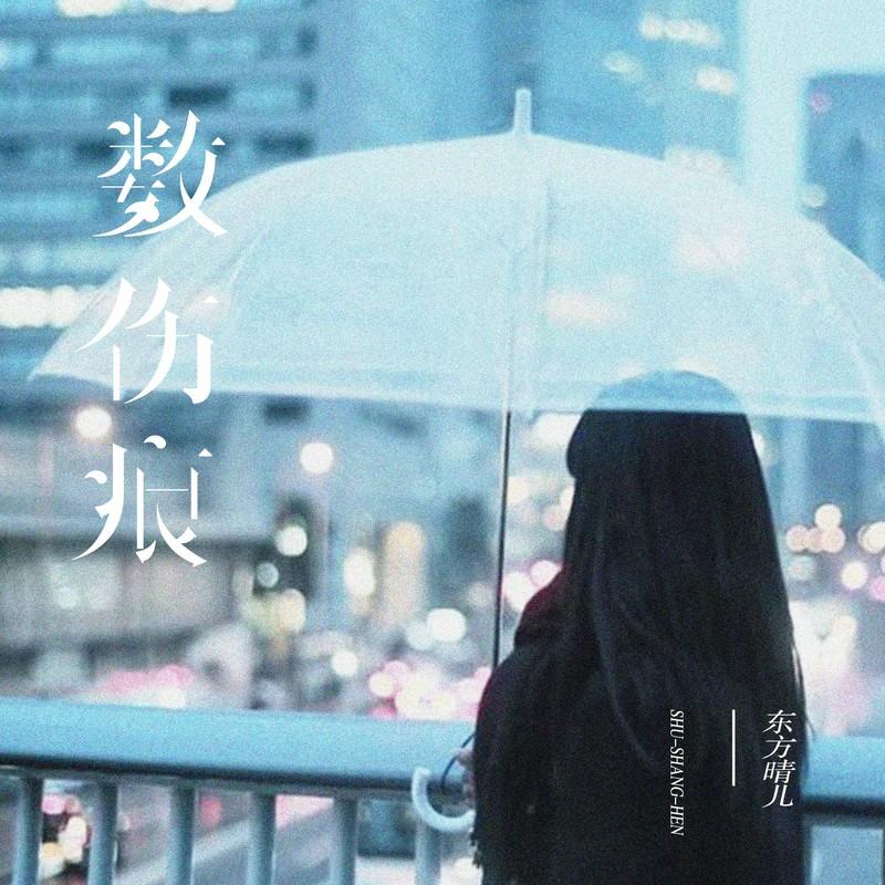 数伤痕 (DJ默涵版)封面
