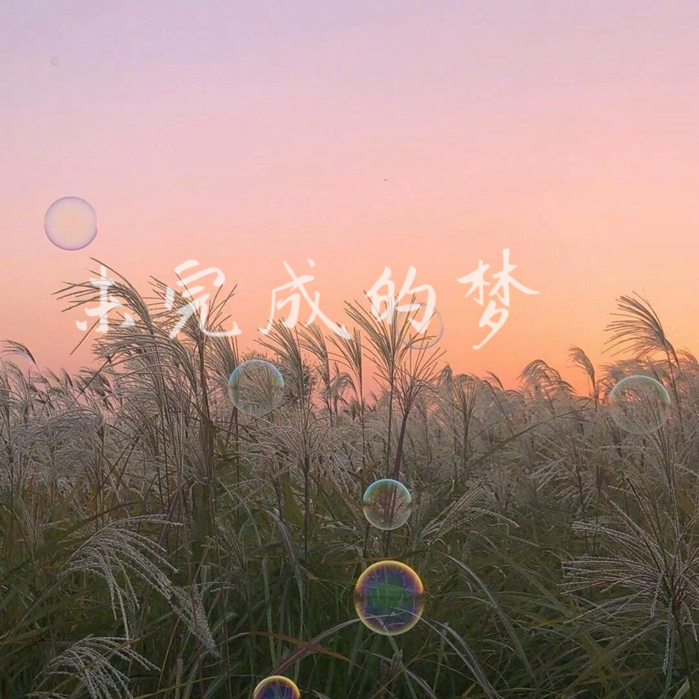未完成的梦 (伴奏)封面