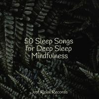 50 Sleep Songs for Deep Sleep Mindfulness