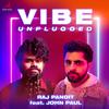 Raj Pandit - Vibe (Unplugged)