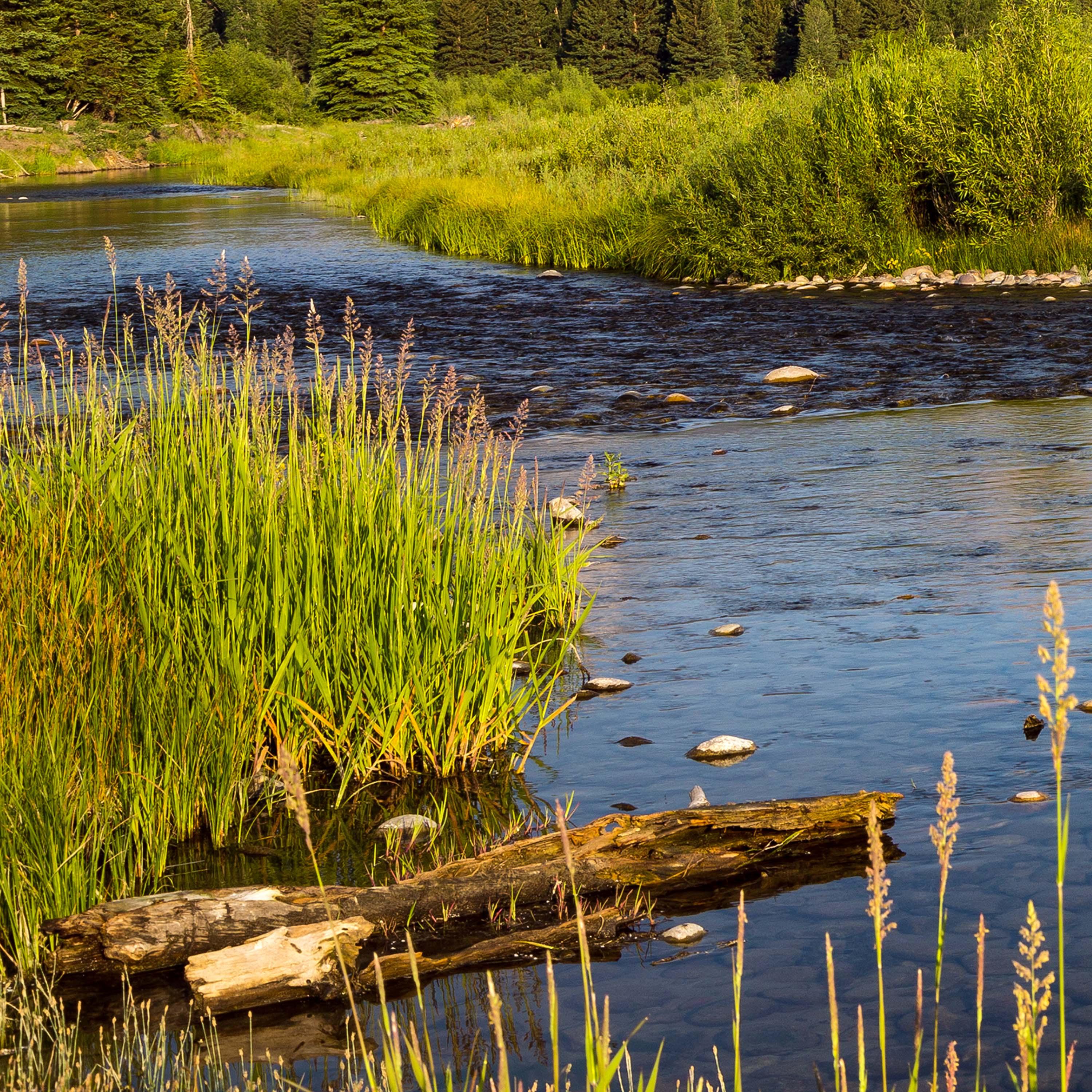 你还能管了我了