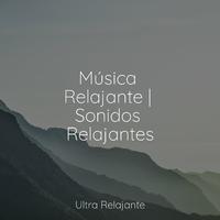 Música Relajante | Sonidos Relajantes