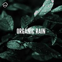 Organic Rain