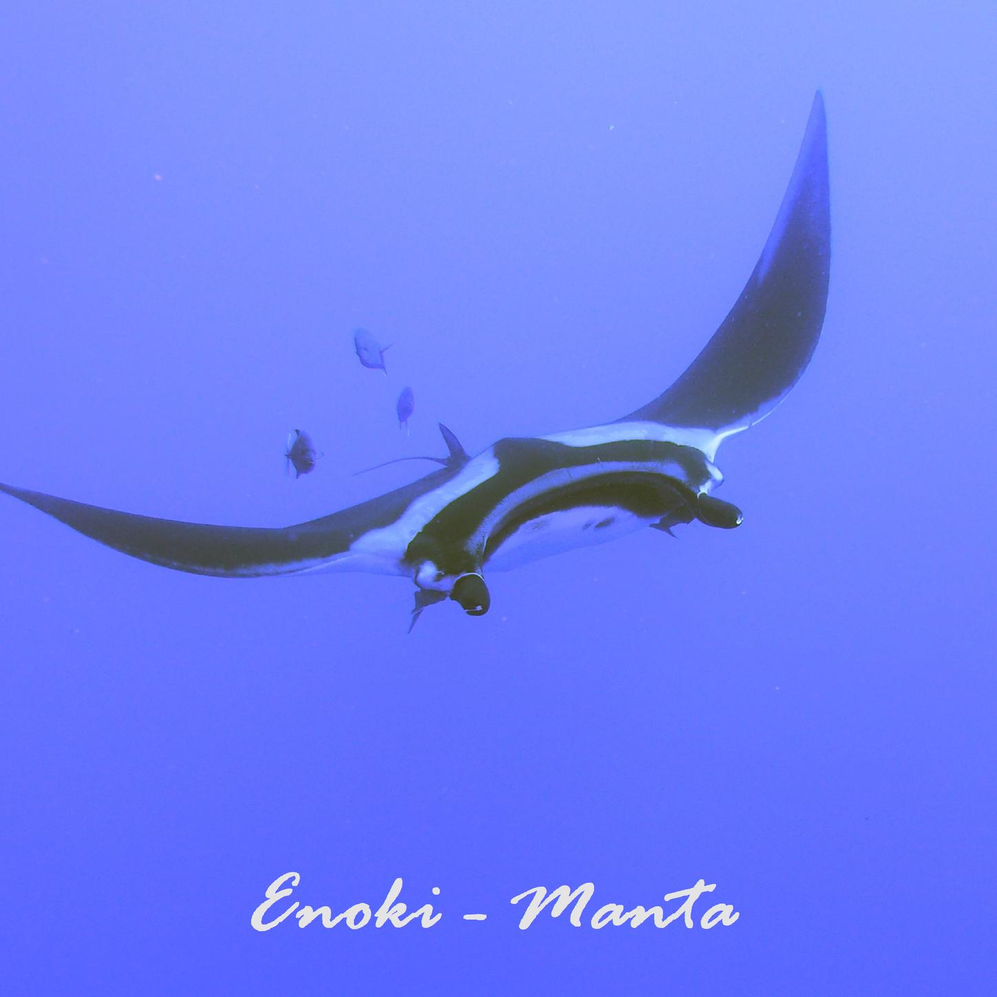 Manta