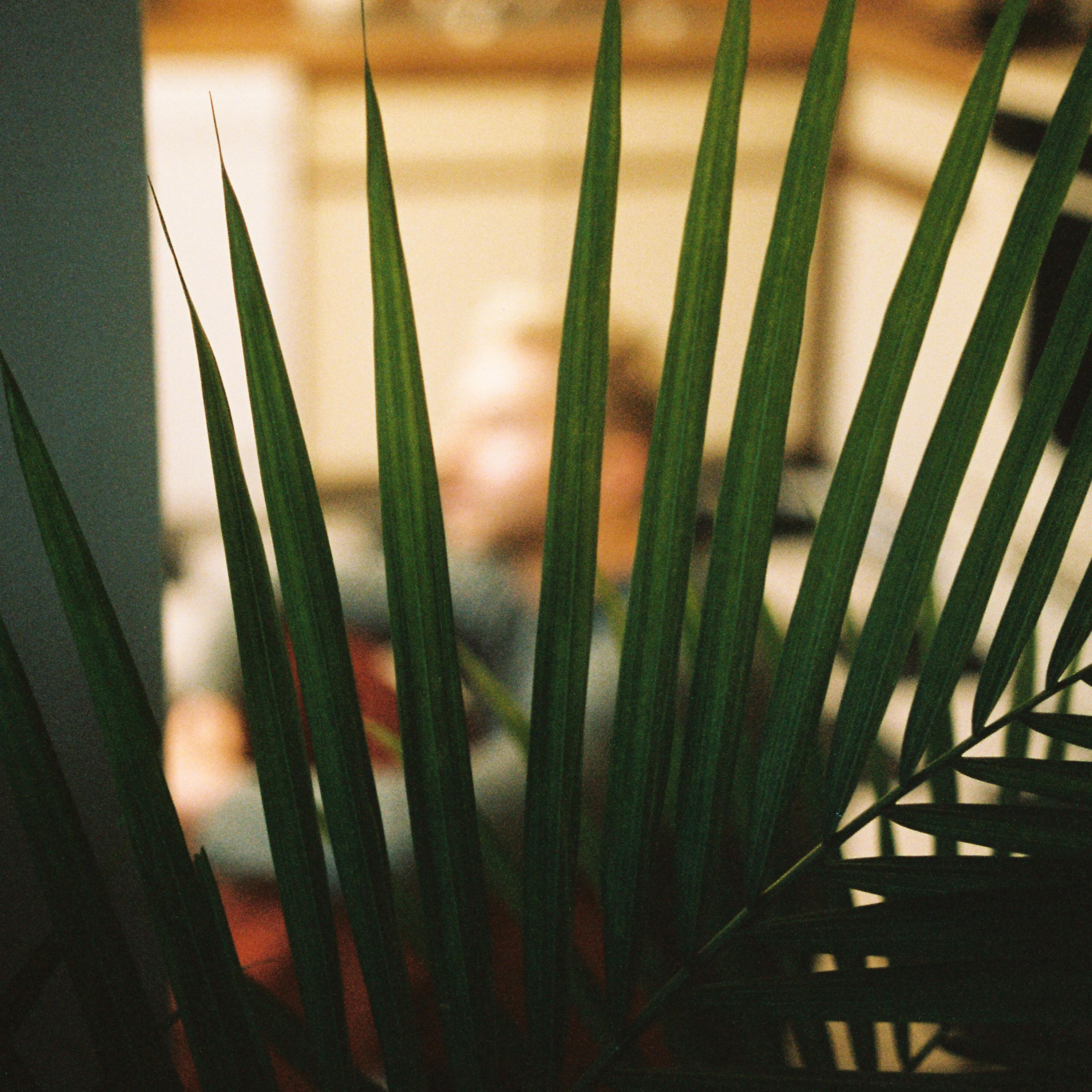 Need It (Use Some Love)