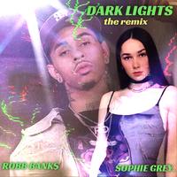 SOPHIE GREY. - Dark Lights (The Remix)