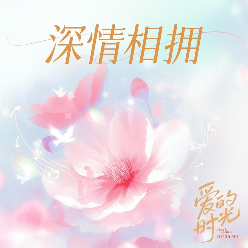 辛晓琪-《深情相拥 (Live)》