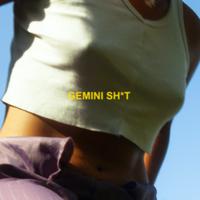 Gemini Shit