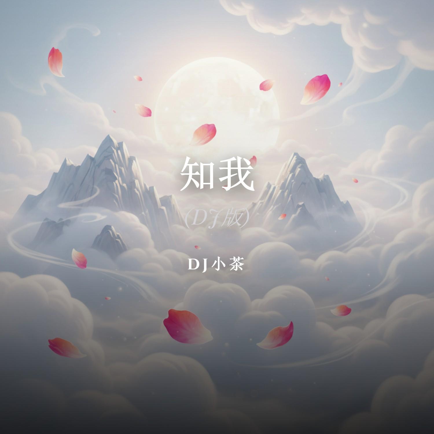 知我 - DJ小茶封面