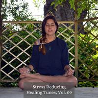 Stress Reducing Healing Tunes, Vol. 09