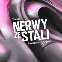 Nerwy ze stali (feat. santaku & grzybu)