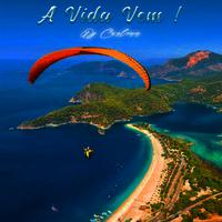 A Vida Vem !