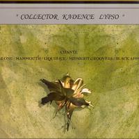 Collector Kadence Lypso