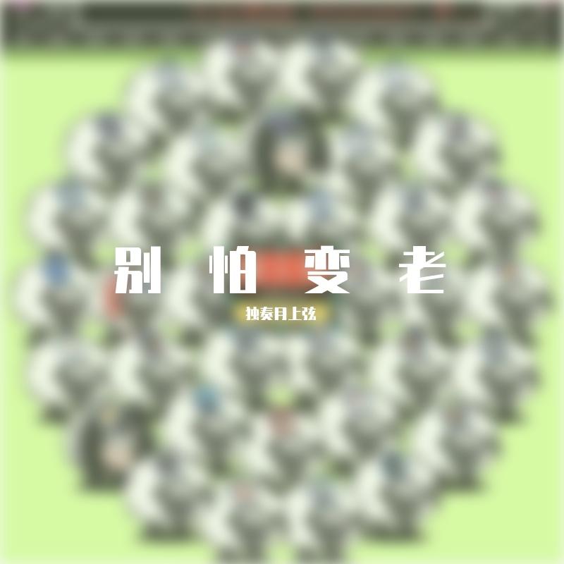 桃花红梦封面