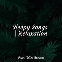 Sleepy Songs | Relaxation