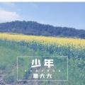 少年(DJ版)封面