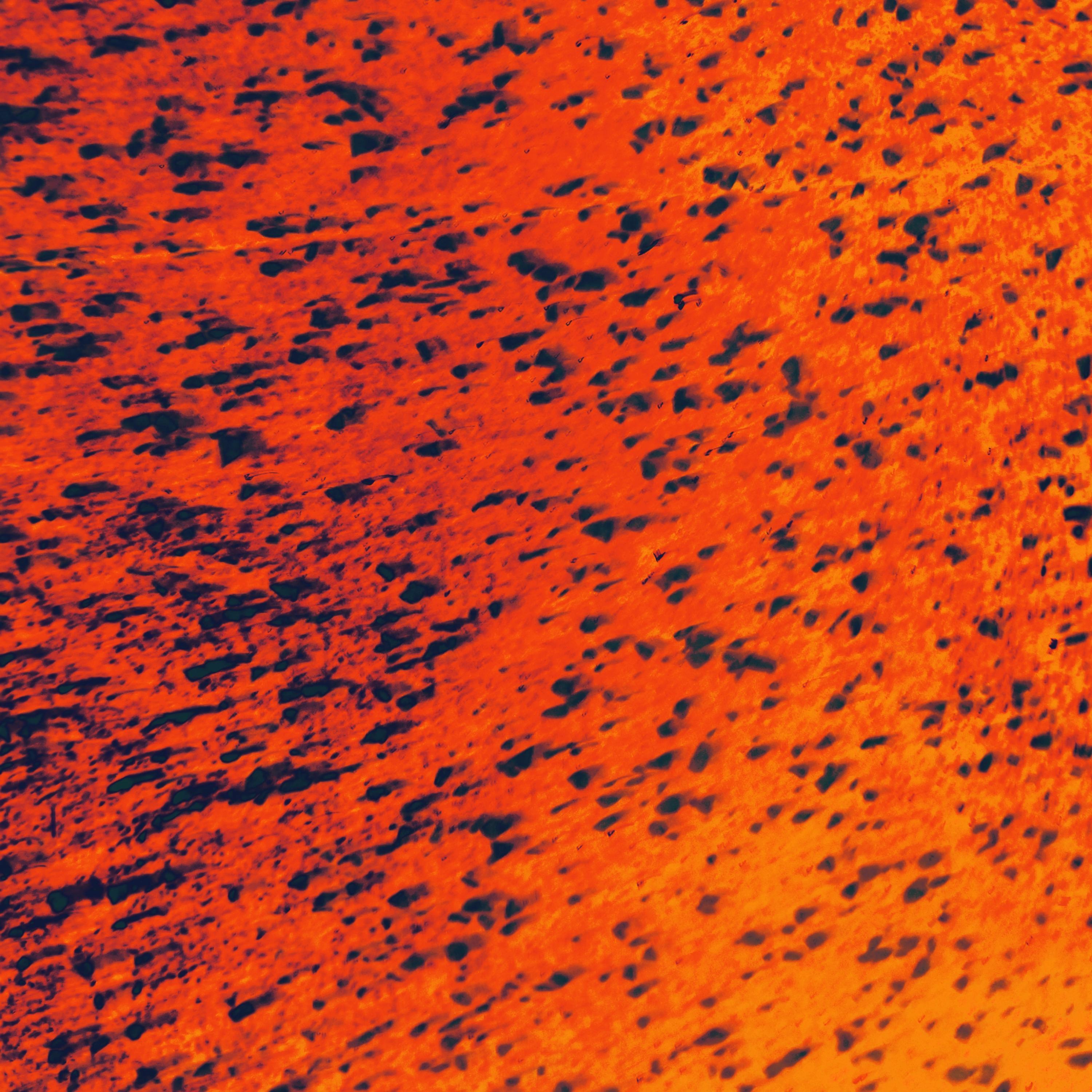 2 FOR FLINCHING! (feat. Redster)