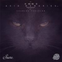 ACID MEMORIES EP