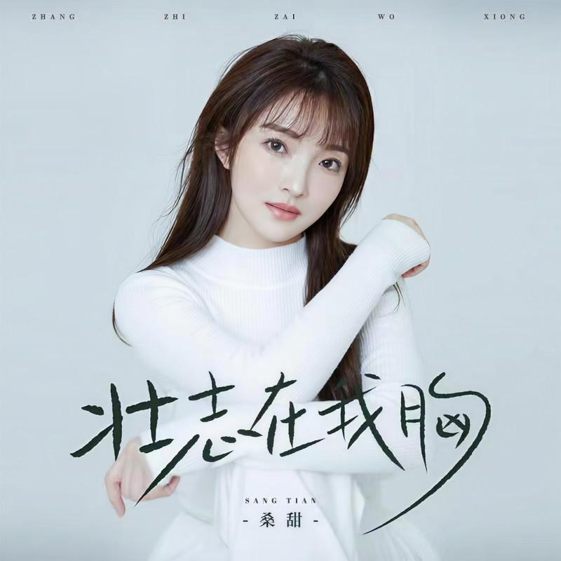 壮志在我胸 (DJ京仔版)封面