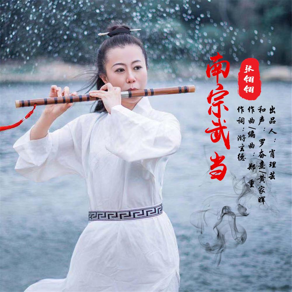 南宗武当 (伴奏)封面