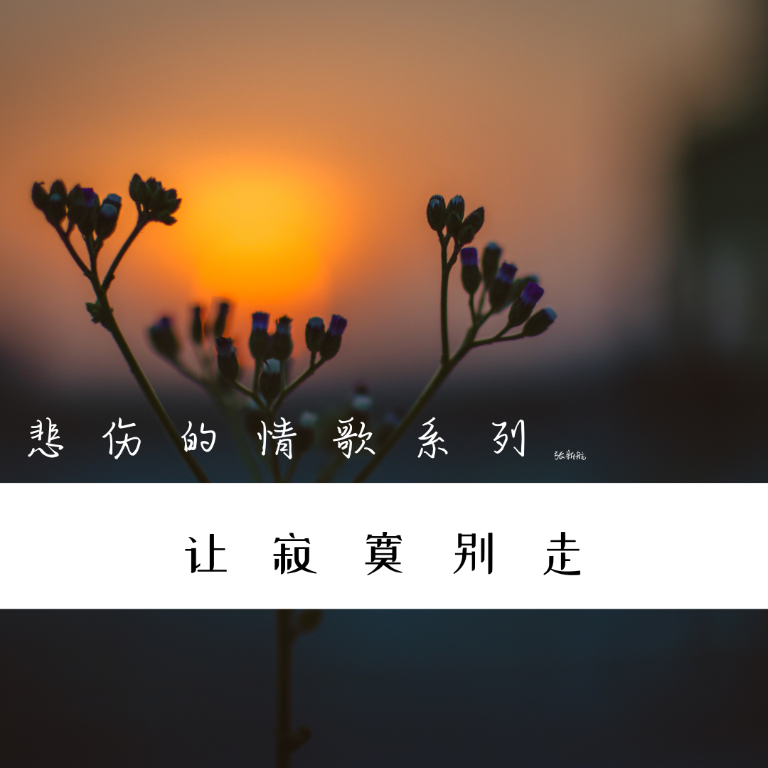 让寂寞别走封面