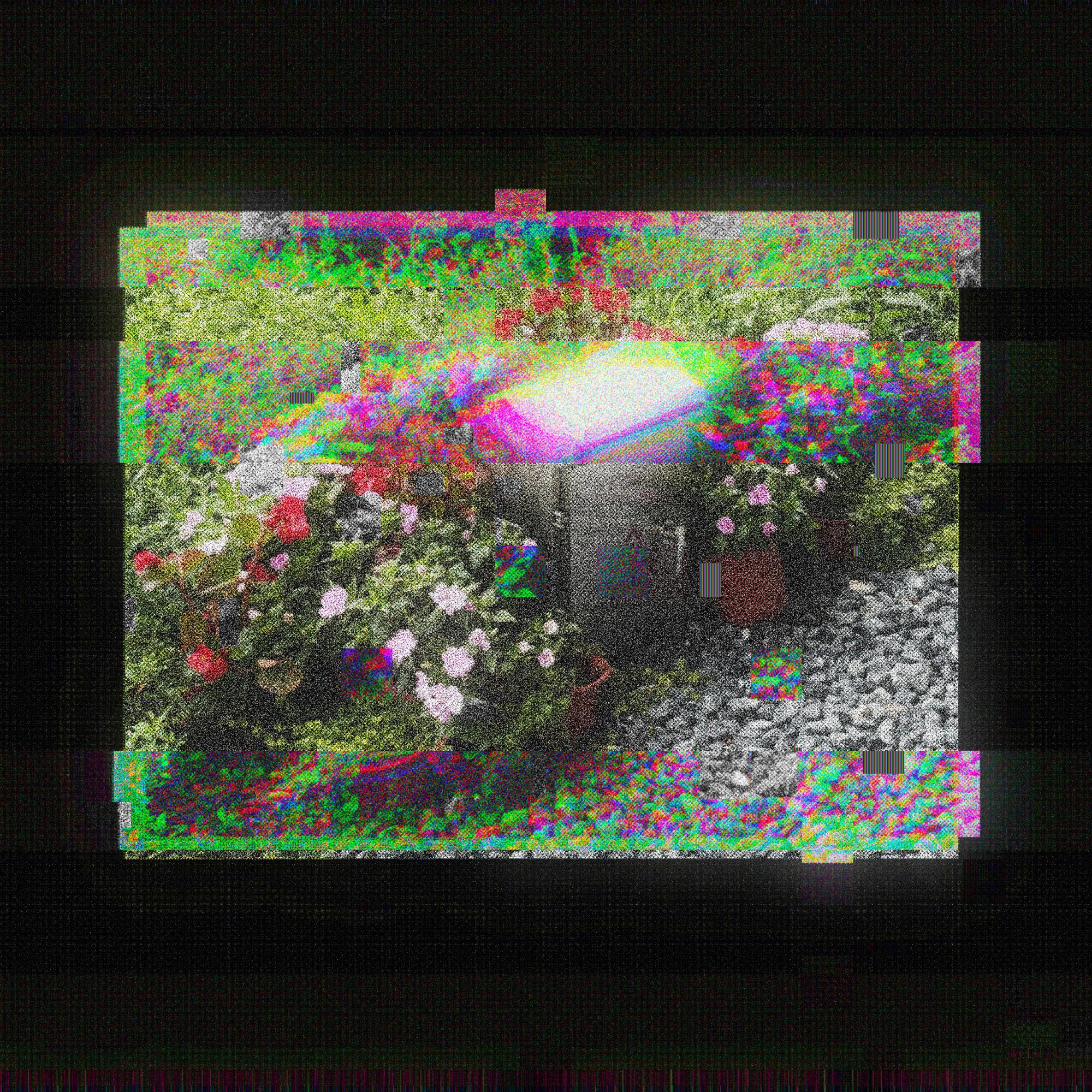 香草 - 羊風青封面
