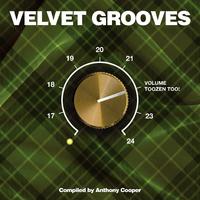 Velvet Grooves Volume 22 Toozen Too!