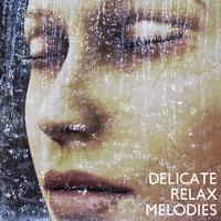 Delicate Relax Melodies: New Age 15 Total Calming Down Songs for Relaxing After Tough Day, De-Stress & Sleep Well