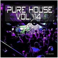 Pure House, Vol. 14