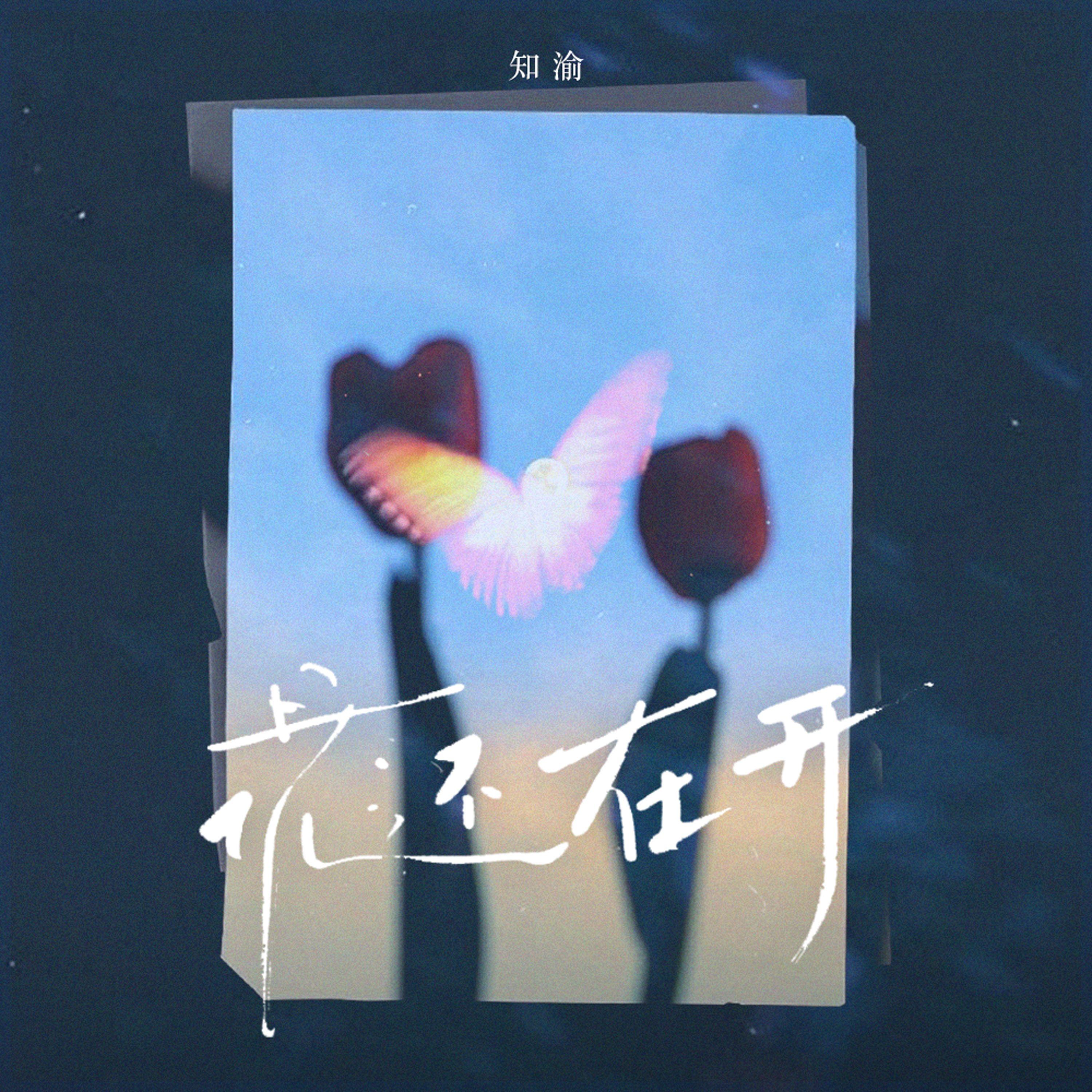 花还在开封面