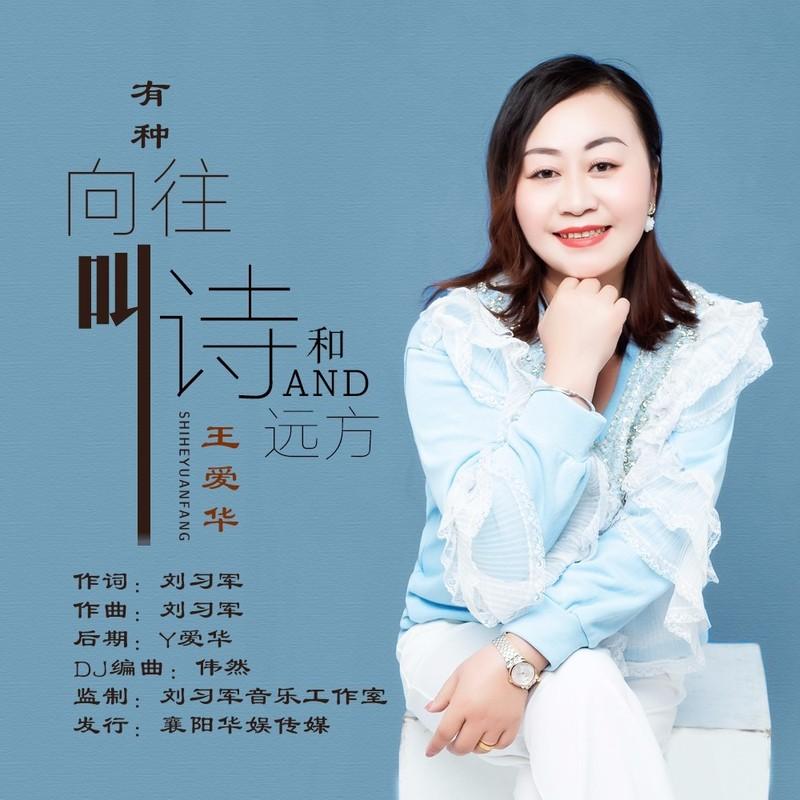 有种向往叫诗和远方 (伴奏) - 王爱华封面